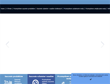 Tablet Screenshot of proeurosystem.com